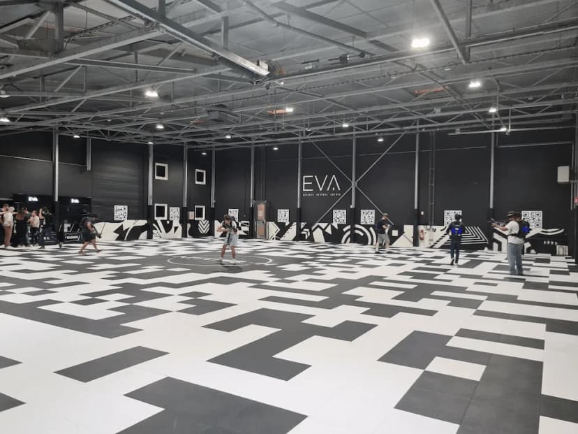 Technologie free roaming